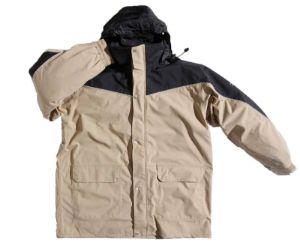 Afbeelding - 7737451-jpg